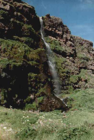 Drífandi